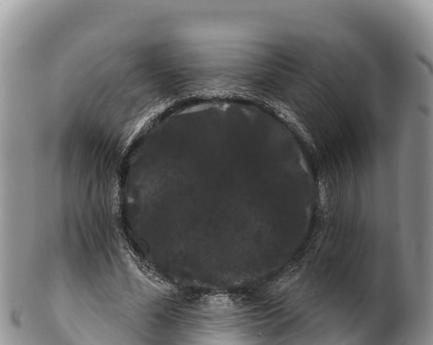 X0000100200588200806201423