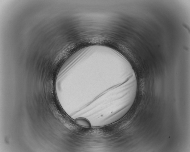 X0000100200589200806201423