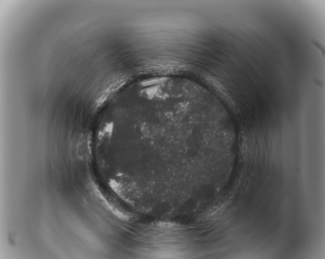 X0000100200590200806201423