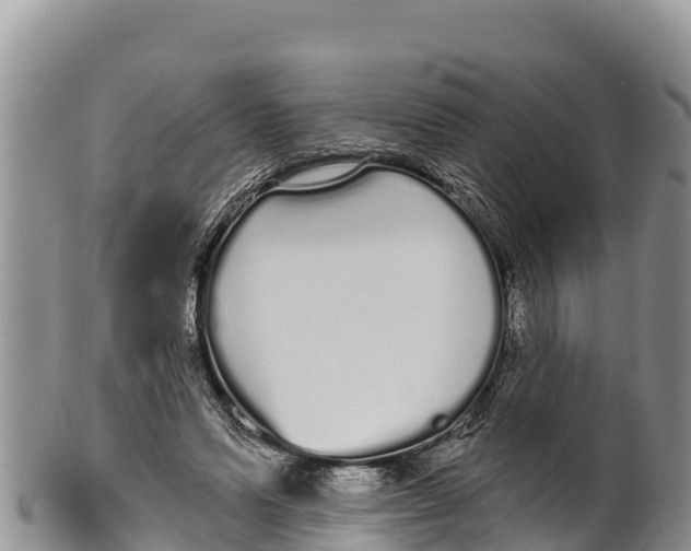 X0000100200591200806201423