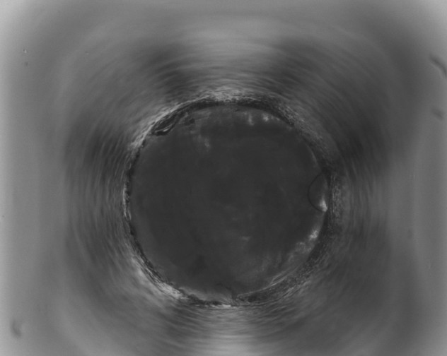 X0000100200592200806201423