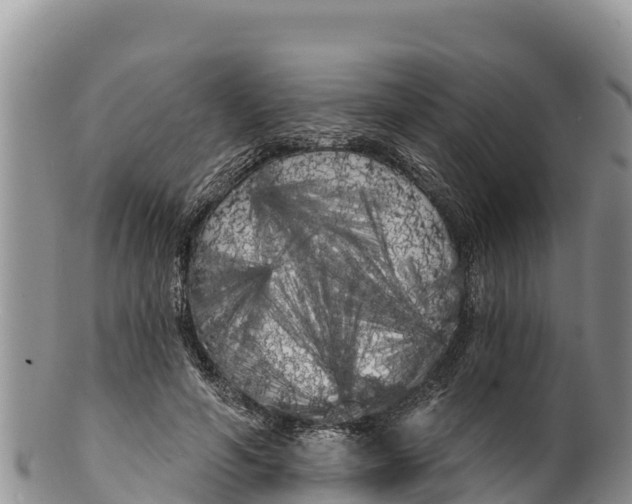 X0000100200594200806201423