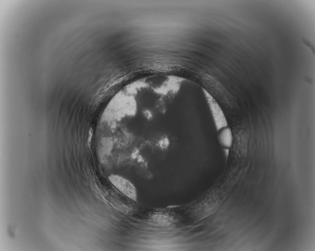 X0000100200596200806201423