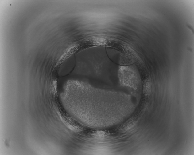 X0000100200598200806201423