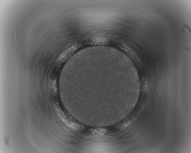 X0000100200599200806201423