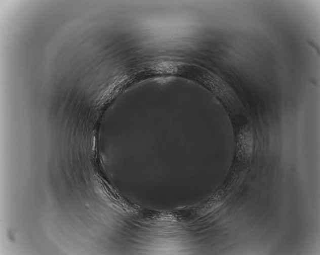 X0000100200600200806201423