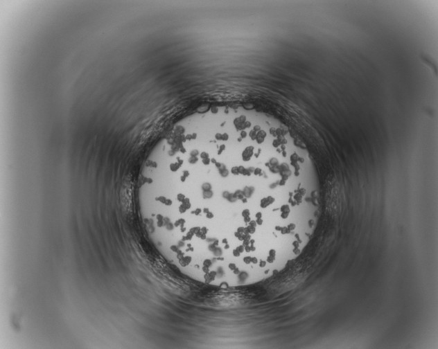 X0000100200604200806201423