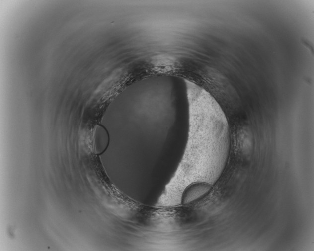 X0000100200606200806201423