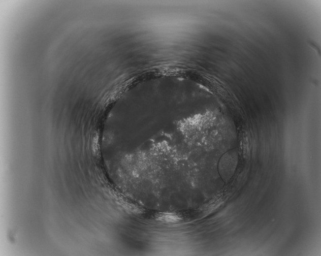 X0000100200610200806201423