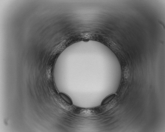 X0000100200611200806201423