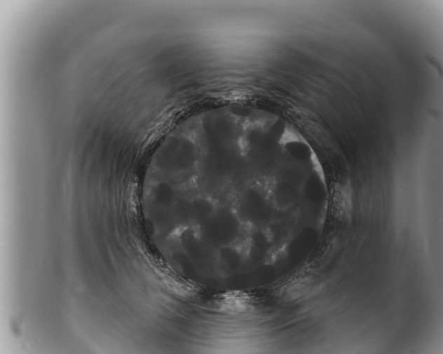 X0000100200612200806201423