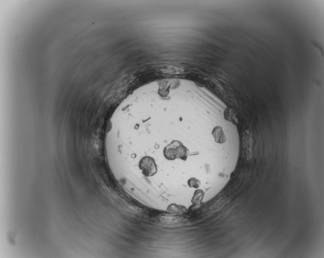 X0000100200614200806201423