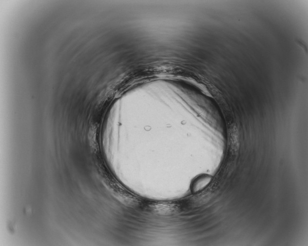 X0000100200615200806201423