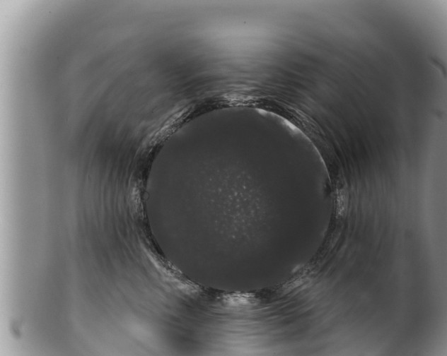 X0000100200618200806201422