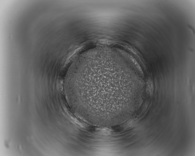 X0000100200621200806201422