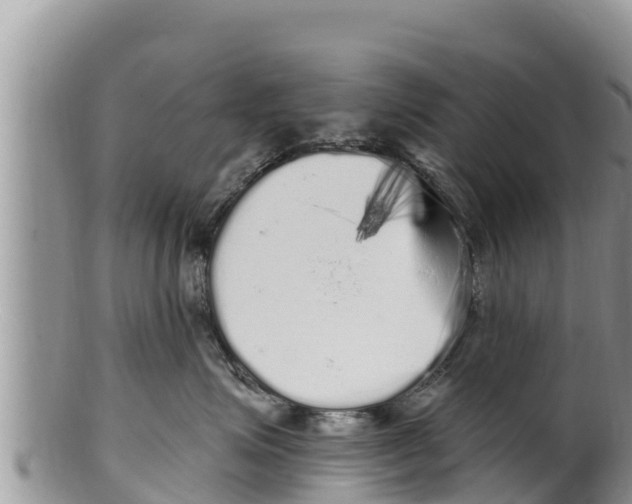 X0000100200623200806201422