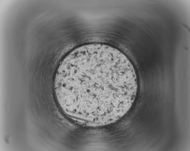 X0000100200625200806201422