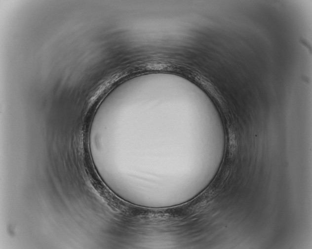 X0000100200626200806201422