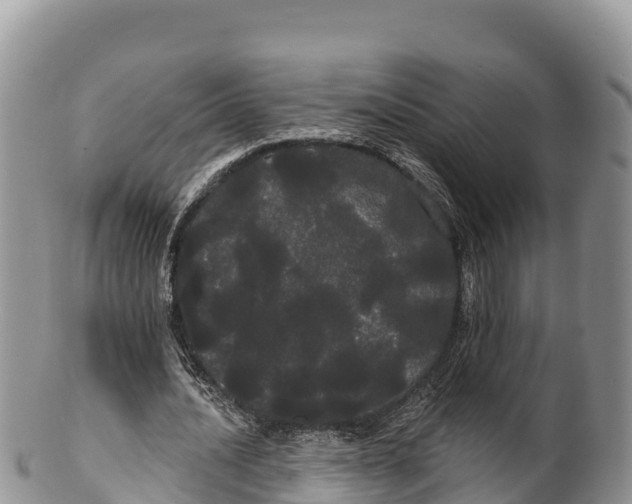 X0000100200628200806201422