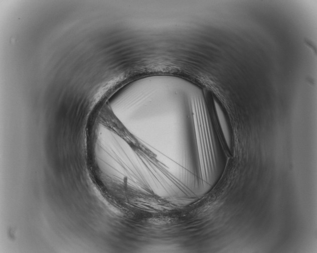 X0000100200630200806201422