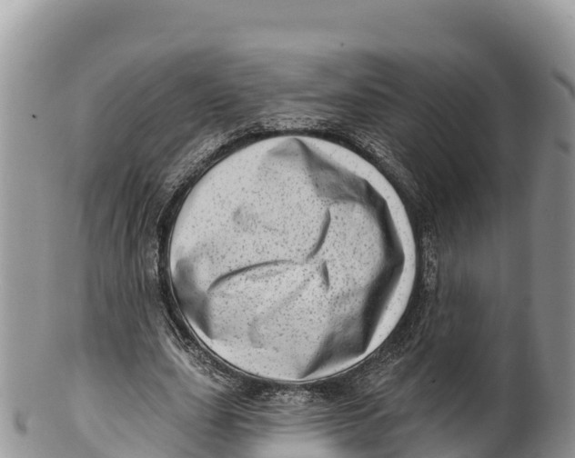 X0000100200631200806201422