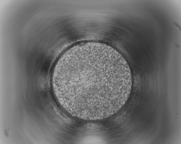 X0000100200632200806201422