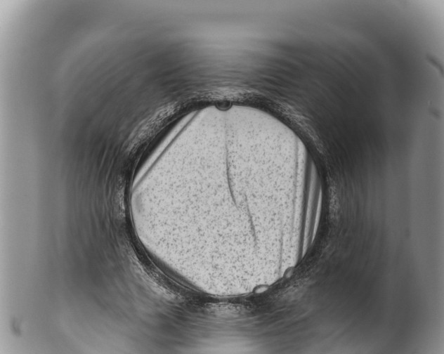 X0000100200633200806201422