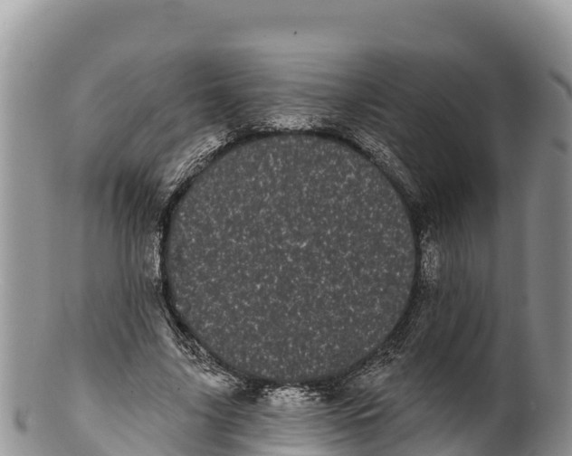 X0000100200635200806201422