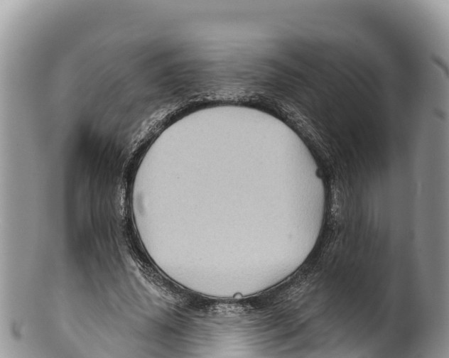 X0000100200636200806201422