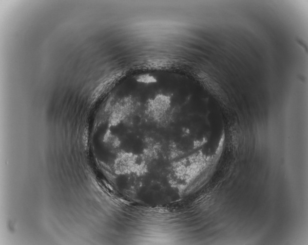 X0000100200640200806201422