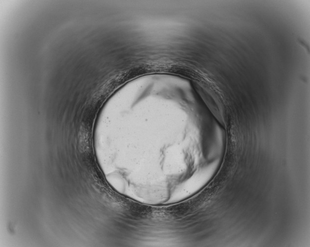 X0000100200641200806201422