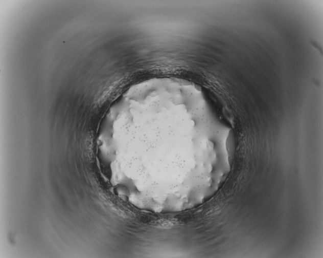 X0000100200642200806201422