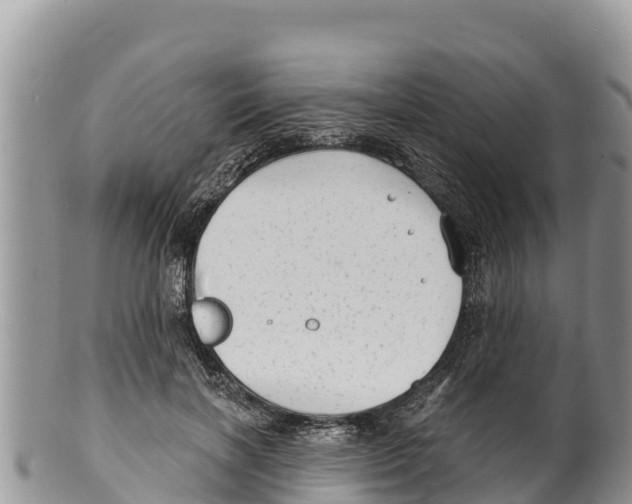 X0000100200646200806201422