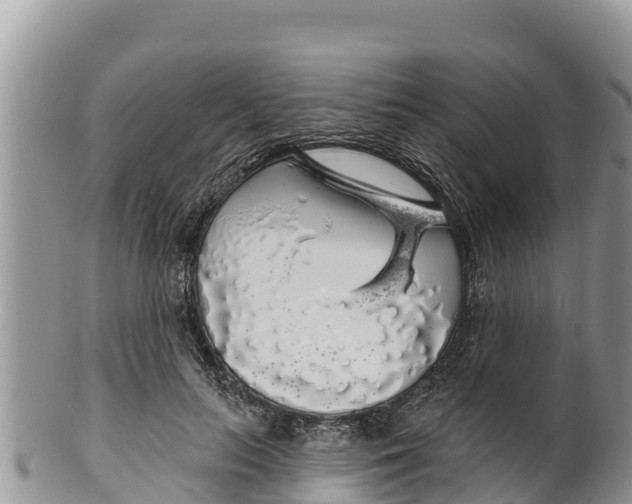 X0000100200647200806201422