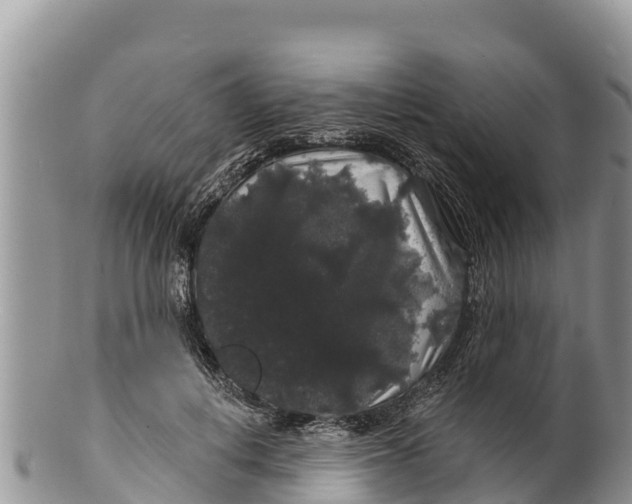 X0000100200648200806201422