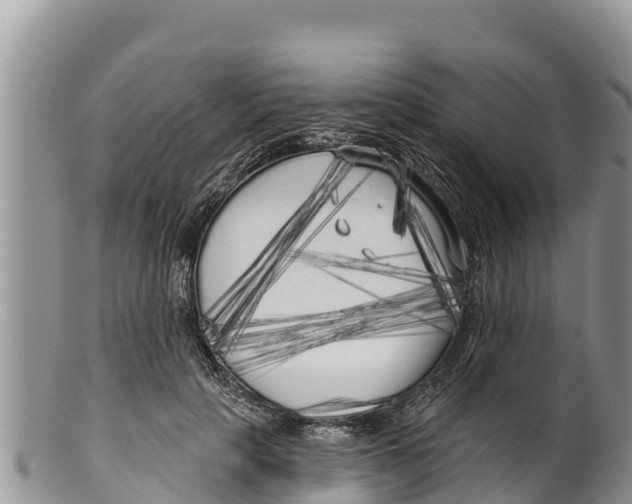 X0000100200649200806201422