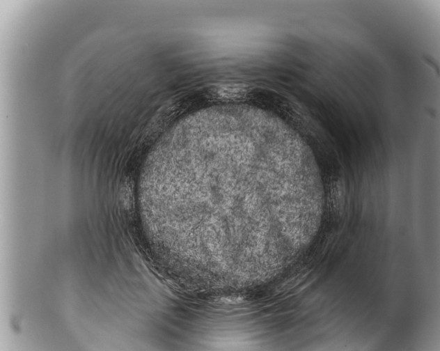 X0000100200651200806201422