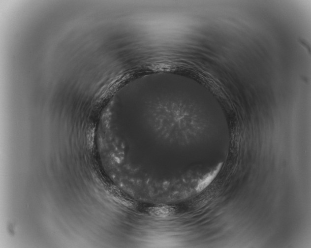 X0000100200652200806201422