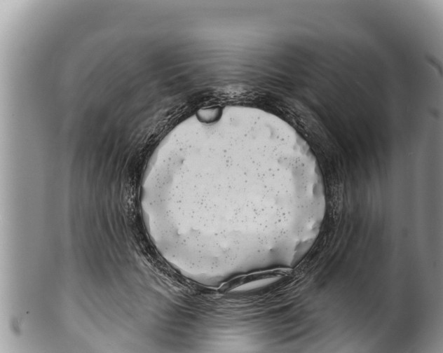 X0000100200653200806201422