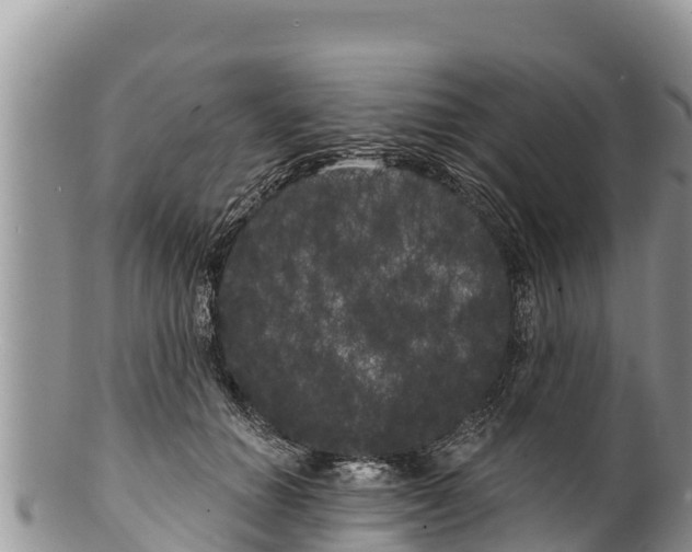 X0000100200654200806201422