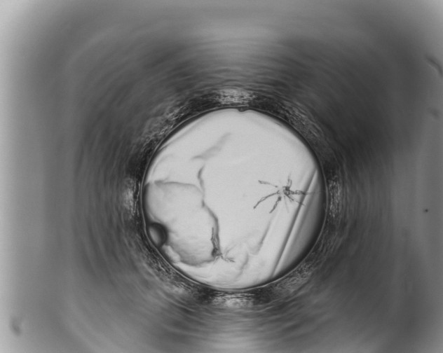 X0000100200655200806201422