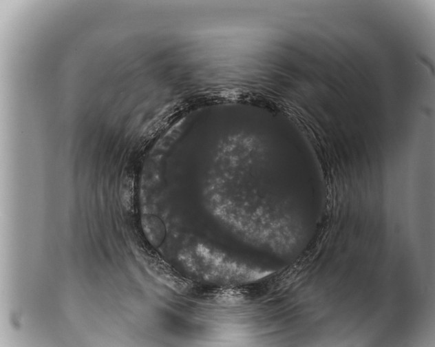 X0000100200656200806201422