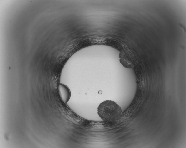 X0000100200658200806201422