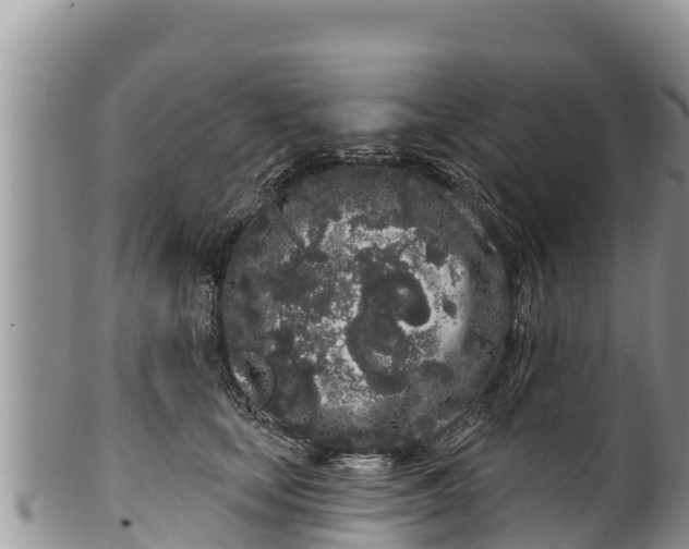 X0000100200659200806201422