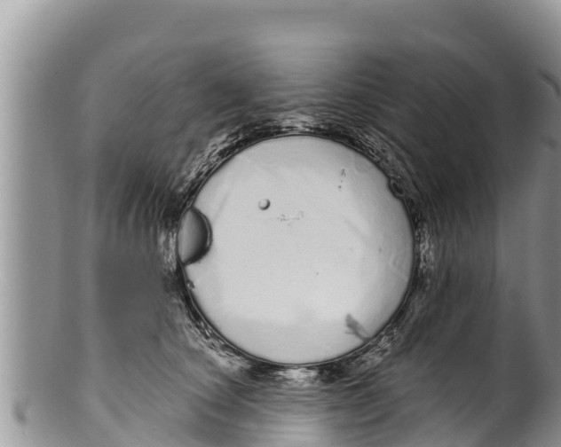 X0000100200660200806201422