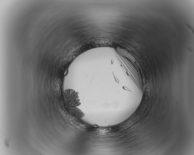 X0000100200662200806201422