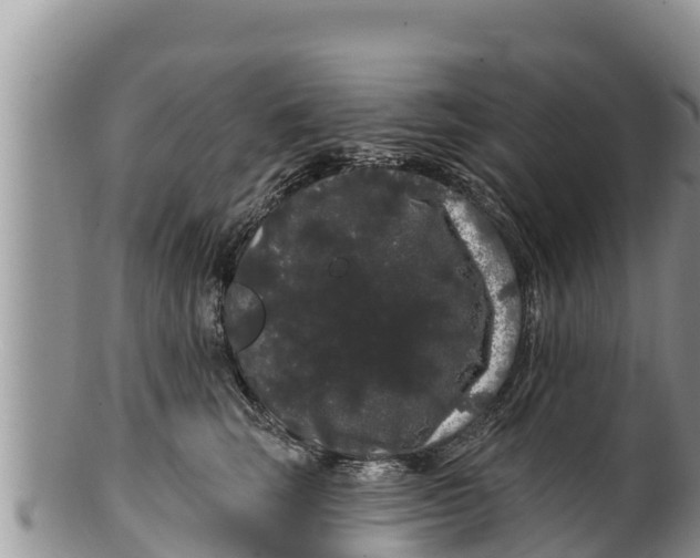 X0000100200663200806201422