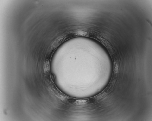 X0000100200665200806201422