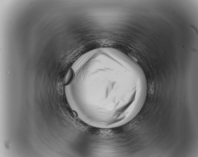 X0000100200666200806201422