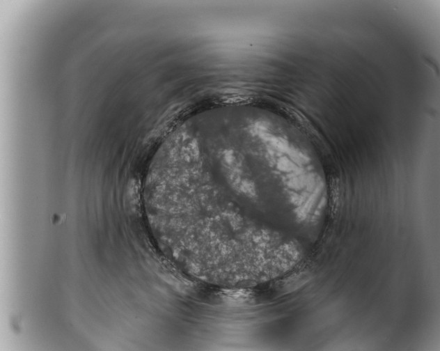 X0000100200667200806201422